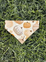 Load image into Gallery viewer, Fall Over-the-Collar Bandana
