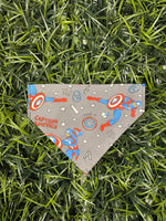 Load image into Gallery viewer, Themed Over-the-Collar Bandana
